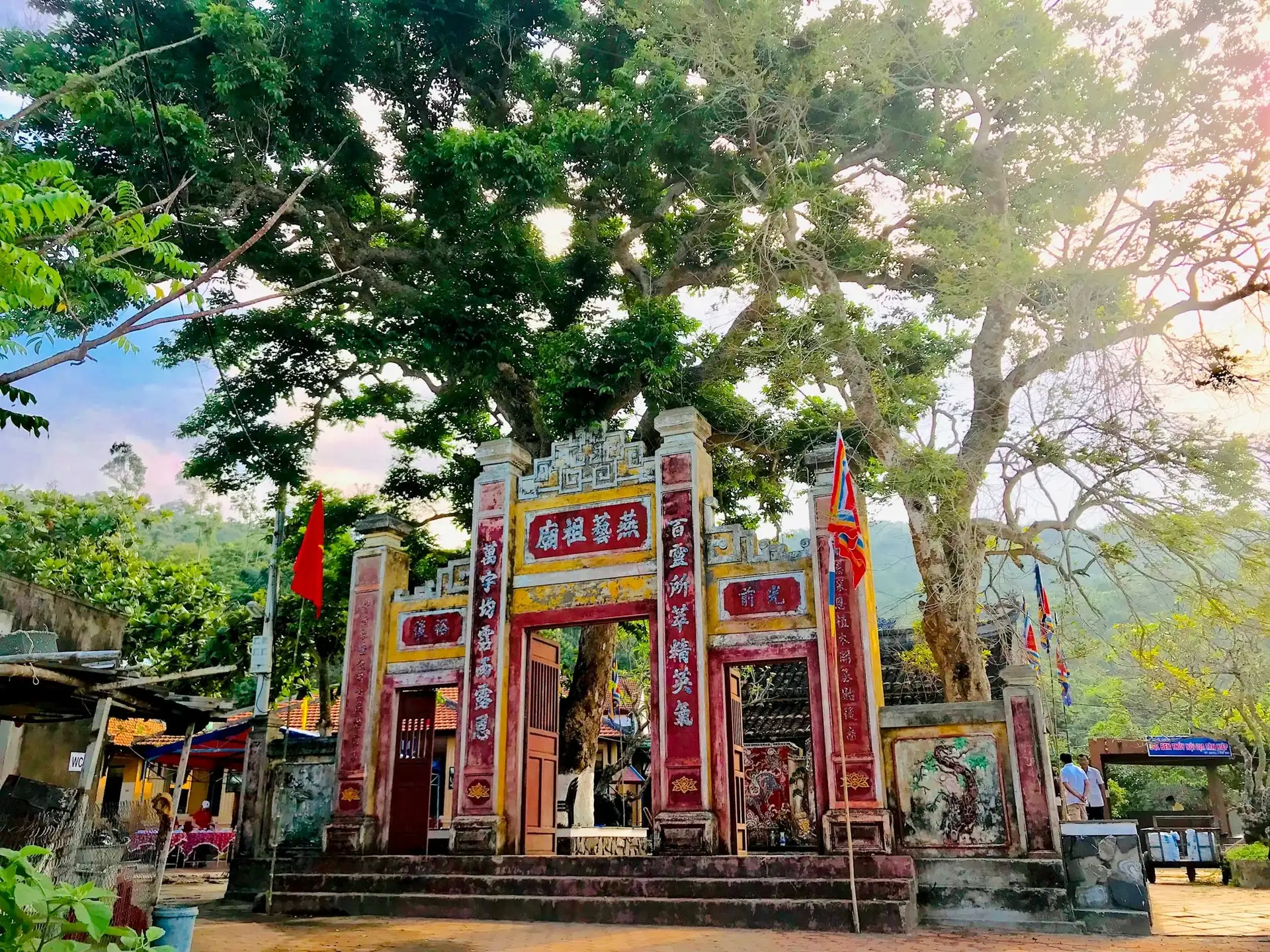 제비집 직업의 창시자의 사원